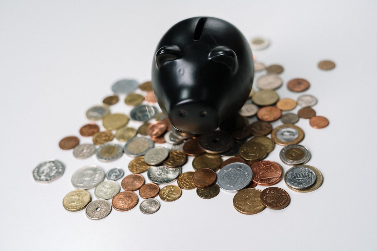 gallery-6 Black piggy bank surrounded by a variety of coins on a white surface, symbolizing savings and finance.